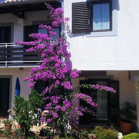 Apartments Barac Porec Ngoại thất bức ảnh