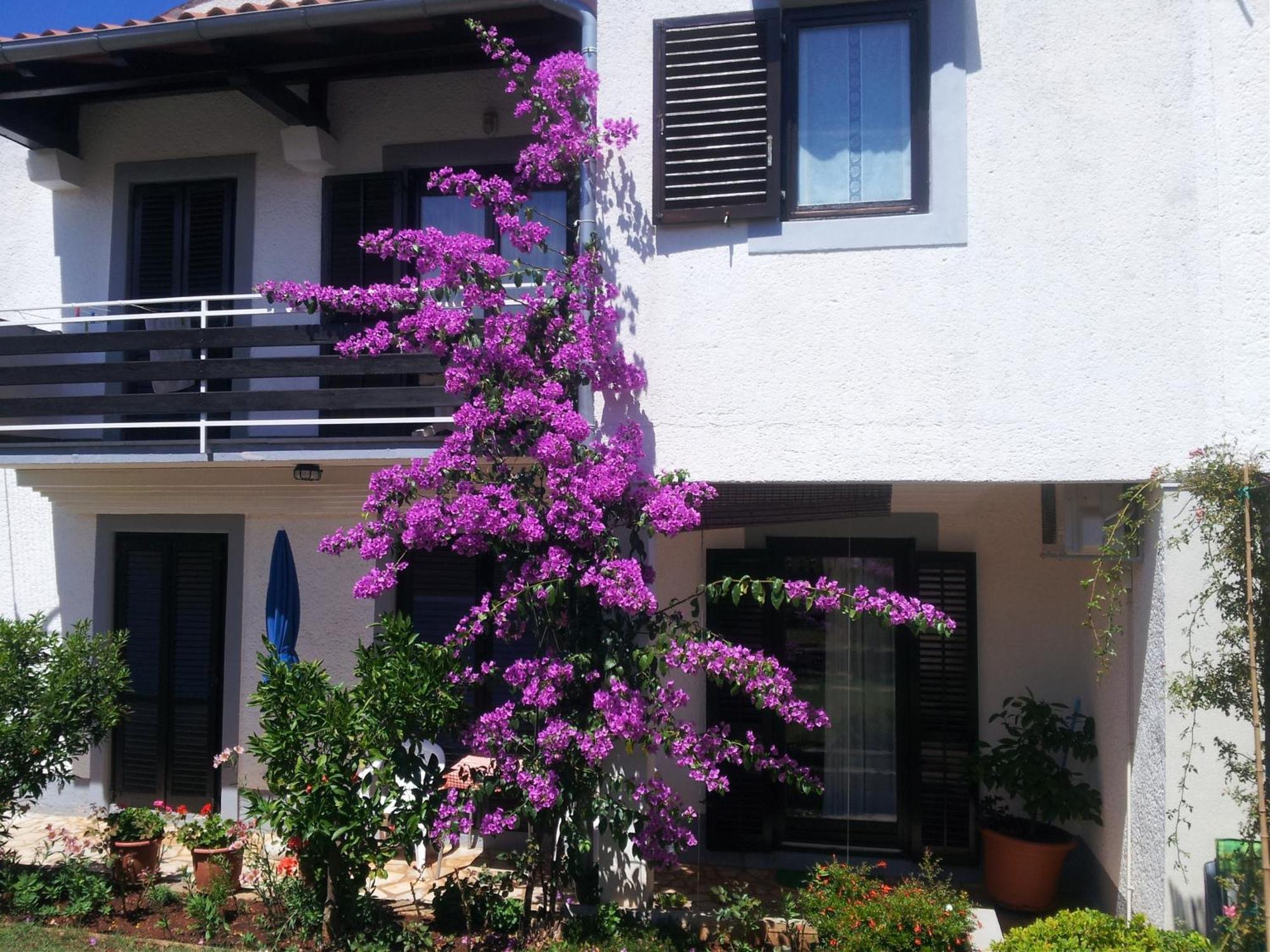 Apartments Barac Porec Ngoại thất bức ảnh